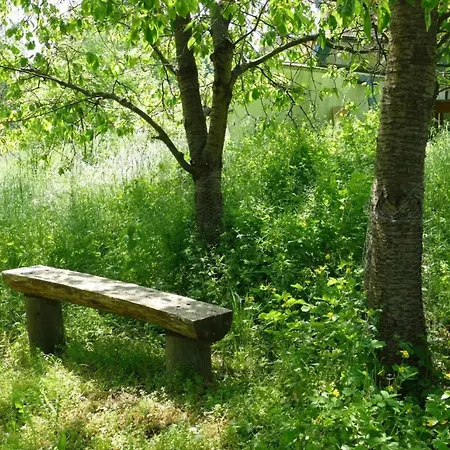 Dachstudios Alte Muehle * פלדברג