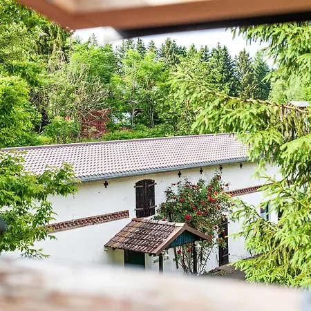 Dachstudio Seeblick Apartamento *